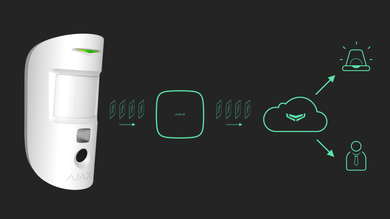 Features of photo verification by MotionCam detectors