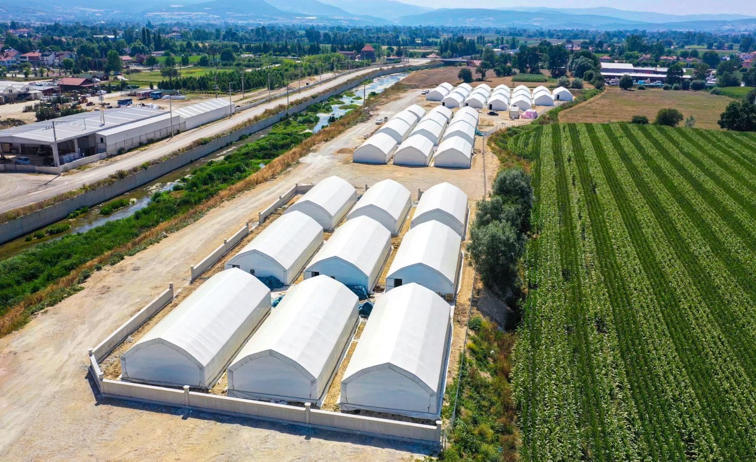 Mushroom farm: Protecting greenhouses and preserving the crop