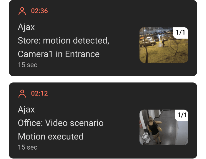 Alarm verification