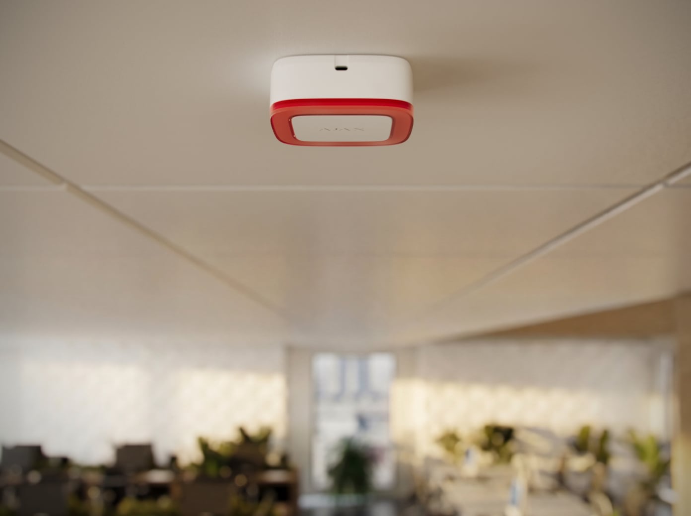 Au-dessus du plafond suspendu