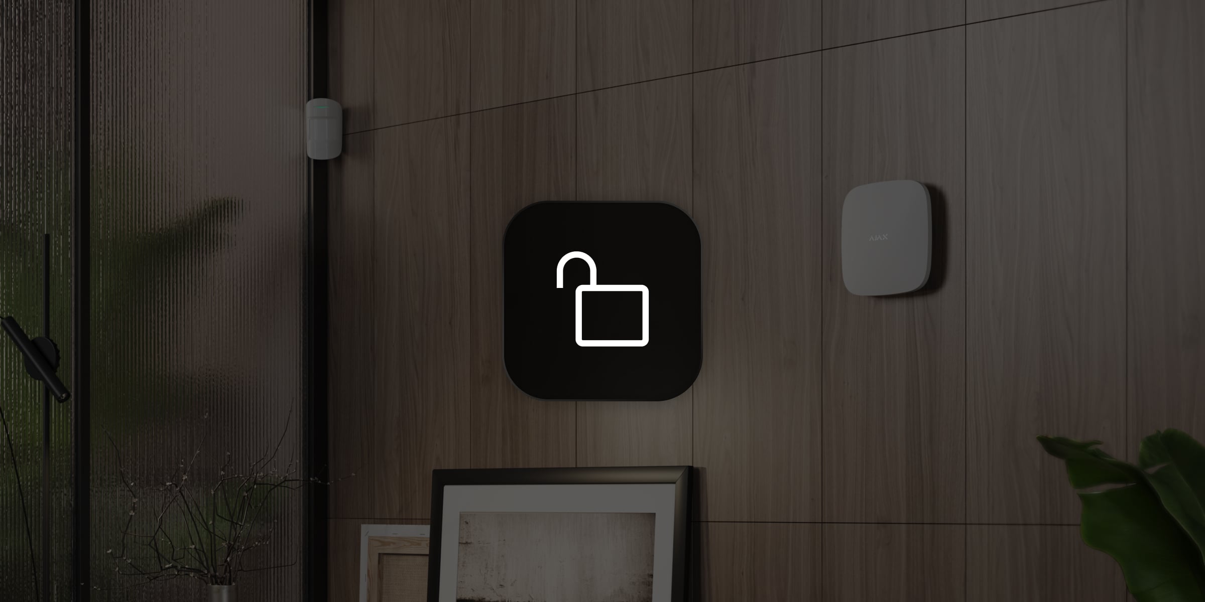 Come può PRO accedere al sistema