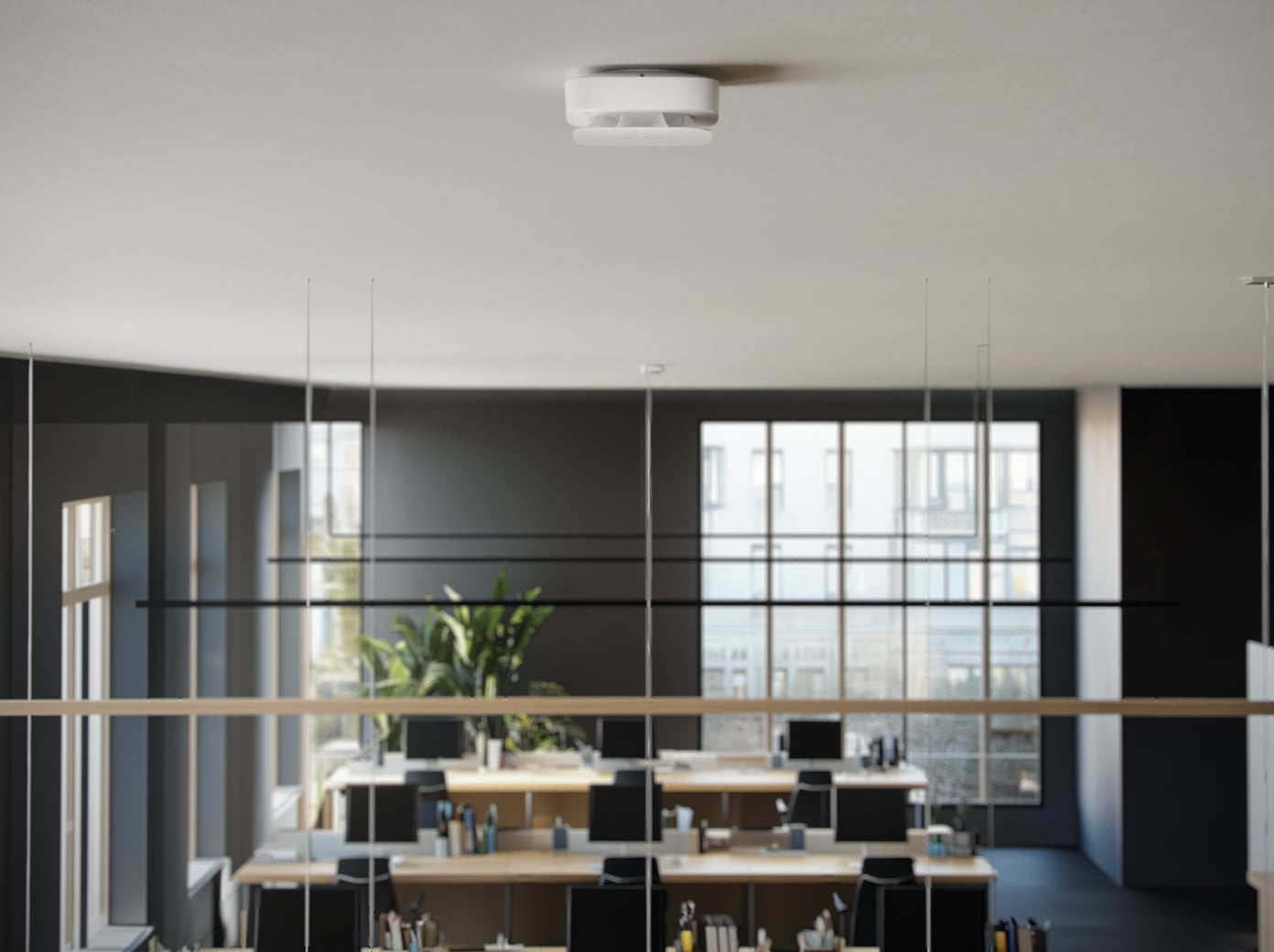 office