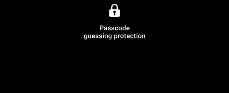 Protezione contro tentativi di indovinare il codice, copia di carta/portachiavi