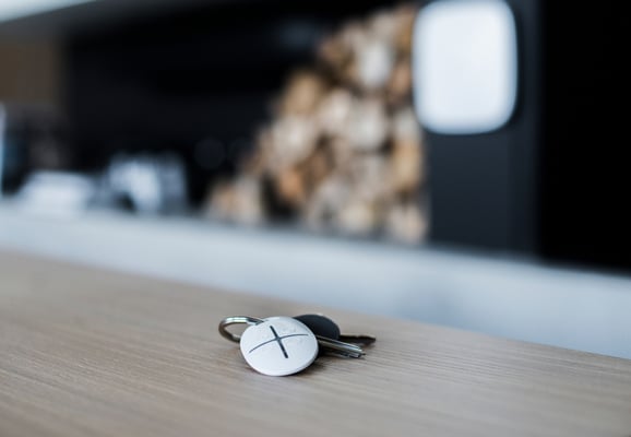 Control devices and panic buttons in the security system
