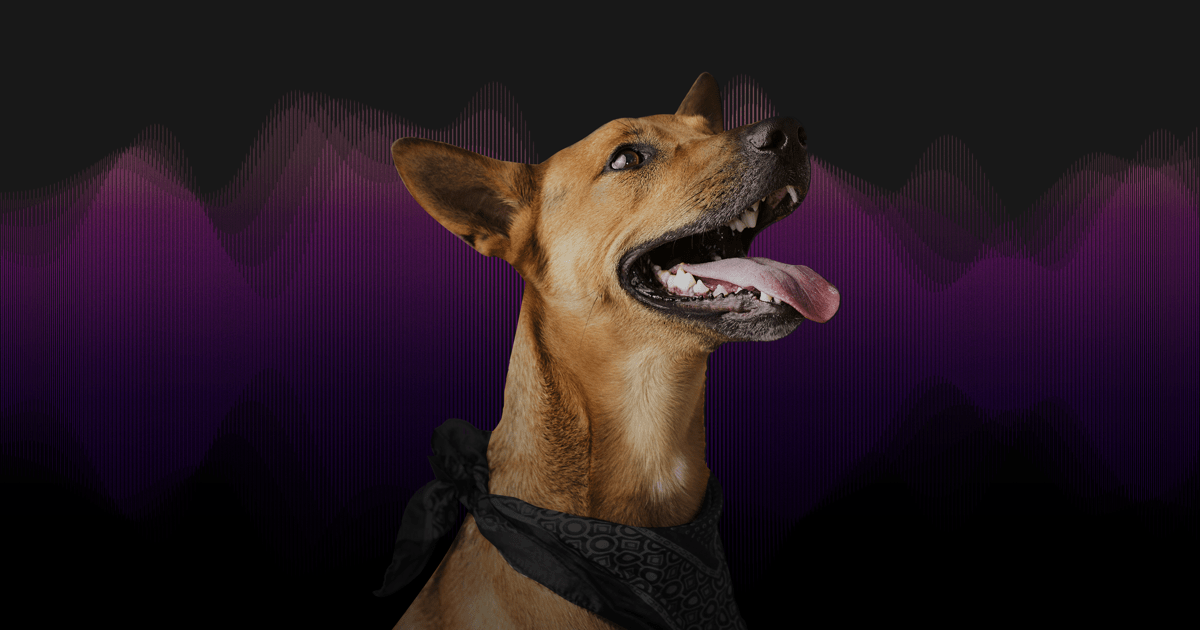 Sensor De Movimiento Inalámbrico Alarma ladridos perro proteger casa efecto de sonido 3D de seguridad 